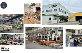 广东宏远确定超级外援